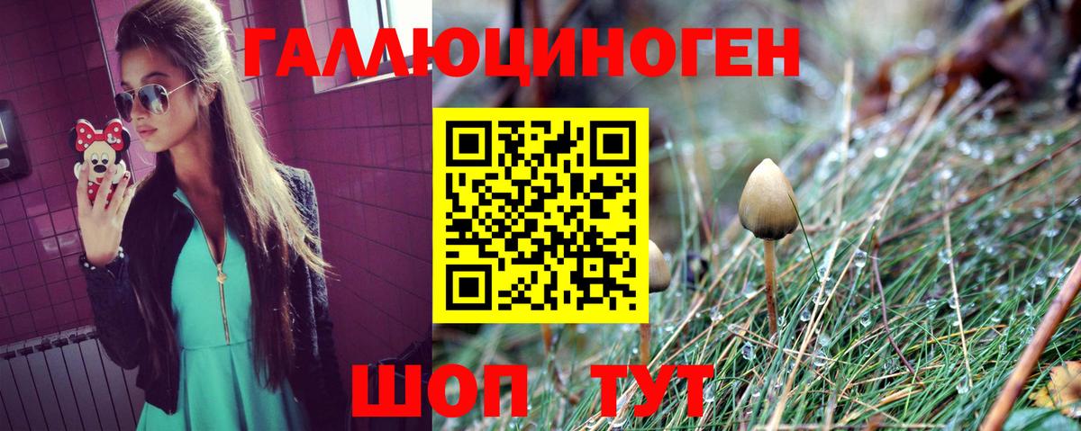 Рассказово  Псилоцибиновые грибы Magic Shrooms  Псилоцибиновые грибы Psilocybine cubensis  Вход с VPN 